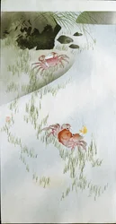 Twee rode krabben